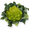 Cauliflower ~ Puntoverde (Romanesco) F1 (Current Stock)